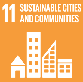 SDG 11