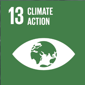 SDG 13