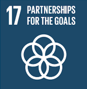 SDG 17